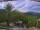 Webcam in Benillup, 8.3 mi away