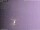 Webcam in Benillup, 18.1 mi away