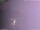 Webcam in Benillup, 21.4 km