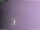 Webcam in Benillup, 50.7 km