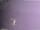 Webcam in Benillup, 19.6 mi away