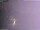 Webcam in Benillup, 18.1 mi away
