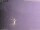 Webcam in Benillup, 46.9 km entfernt