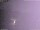 Webcam in Benillup, 18.1 mi away