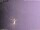 Webcam in Benillup, 50.2 km