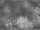 Webcam in Benillup, 28.8 km
