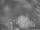 Webcam in Benillup, 18.1 mi away