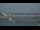 Webcam in Ibiza Town, 0.2 mi away