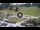 Webcam in Madonna di Campiglio, 8 km