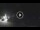 Webcam in Madonna di Campiglio, 14.6 km