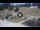 Webcam in Madonna di Campiglio, 1.4 km