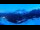 Webcam in Canazei, 0.5 mi away