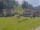 Webcam in Obertauern, 2.9 mi away