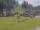 Webcam in Obertauern, 0.7 km entfernt