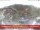 Webcam in Obertauern, 1.1 km