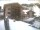 Webcam in Obertauern, 0.1 mi away