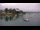Webcam in Combrit, 13.6 km