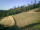 Webcam in Knobelsdorf, 6.4 mi away