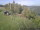 Webcam in Altenbeuthen, 16.2 km entfernt