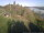 Webcam in Altenbeuthen, 41.3 km