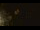 Webcam in Havre De Grace, Maryland, 18.5 mi away