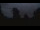 Webcam in Davidsonville, Maryland, 15.9 mi away