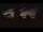Webcam in Davidsonville, Maryland, 5.4 mi away