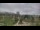 Webcam in Ypsilanti, Michigan, 25 mi away