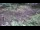 Webcam in Milford, Ohio, 13.1 mi away