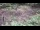Webcam in Milford, Ohio, 24.1 mi away