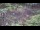 Webcam in Milford, Ohio, 196.9 km