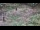 Webcam in Milford, Ohio, 102.5 km entfernt