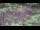 Webcam in Milford, Ohio, 127 km