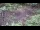 Webcam in Milford, Ohio, 124.5 km