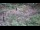 Webcam in Milford, Ohio, 25 km entfernt
