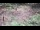 Webcam in Milford, Ohio, 73.7 mi away