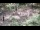 Webcam in Milford, Ohio, 9.6 mi away