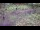 Webcam in Milford, Ohio, 99.4 km