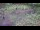 Webcam in Milford, Ohio, 99.4 km