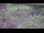 Webcam in Milford, Ohio, 172.5 km