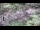 Webcam in Milford, Ohio, 70.7 mi away
