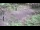 Webcam in Milford, Ohio, 36.8 mi away
