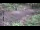 Webcam in Milford, Ohio, 9.6 mi away