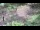 Webcam in Milford, Ohio, 52.4 mi away