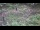 Webcam in Milford, Ohio, 59.8 mi away
