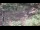 Webcam in Milford, Ohio, 24.6 mi away