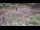 Webcam in Milford, Ohio, 190.9 km entfernt