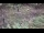 Webcam in Milford, Ohio, 95.5 km entfernt