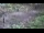 Webcam in Milford, Ohio, 8.6 mi away