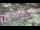 Webcam in Milford, Ohio, 125 km entfernt